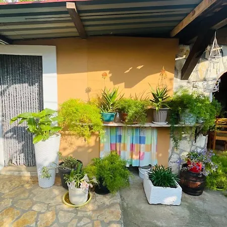 Colorful And Happy - With Parking Apartment *